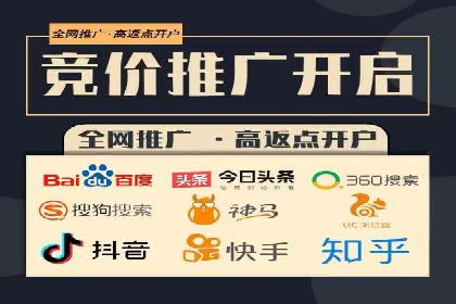 SEM精准广告投放的五大成功案例